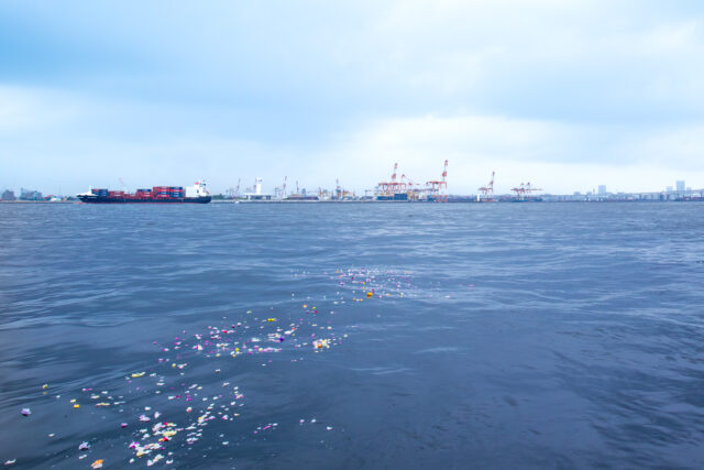 2026年6月20日横浜沖での散骨