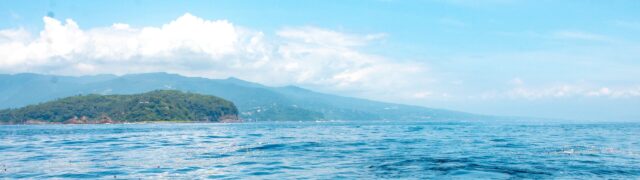 真鶴沖での散骨 2025年7月13日