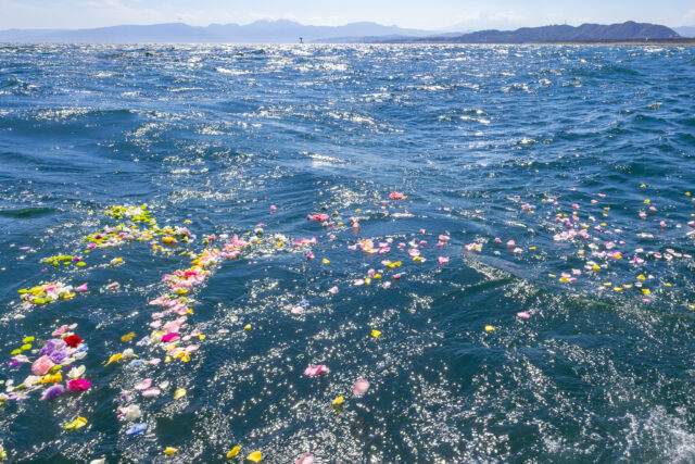 2026年5月30日湘南沖出の散骨